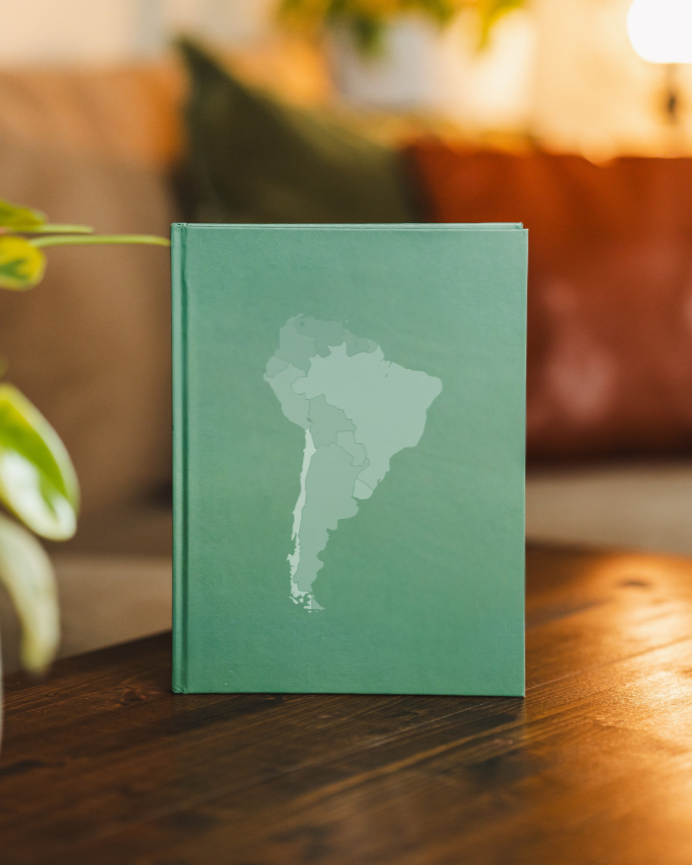 South America Travel Journal